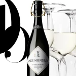 【初回送料無料】絶対おススメの日本酒ブランドSAKE HUNDRED(百光)