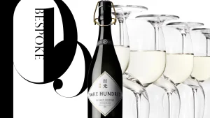 【初回送料無料】絶対おススメの日本酒ブランドSAKE HUNDRED(百光)