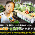 【無農薬野菜ミレー 】 朝穫りオーガニック野菜を産地から当日発送